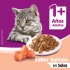 WHISKAS EN SALSA CAJA 12 UNIDADES SALMON