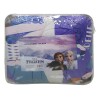 Acolchado Disney en Microfibra Infantil 1 Plaza Frozen