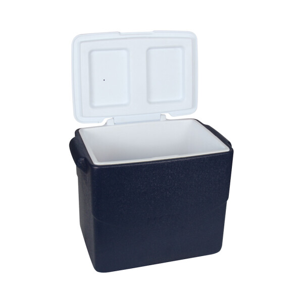 CONSERVADORA GLACIAL 40 LTS - AZUL 51,5x35x43 AZUL
