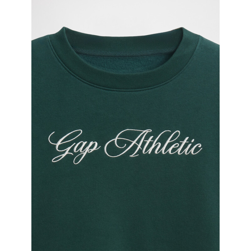 LOGO WEDGE PULLOVER DEEP HUNTER 505