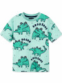 REMERA ABEL VERDE