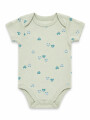 BODY M/C PACK X 2 CELESTE