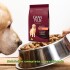 GRAN PLUS CHOICE ADULTO PERRO CARNE Y POLLO 20 KG NUTRICION COMPLETA GRAN PLUS CHOICE ADULTO PERRO CARNE Y POLLO 20 KG NUTRICION COMPLETA