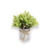 Planta Artificial 20x8cm Planta Artificial 20x8cm