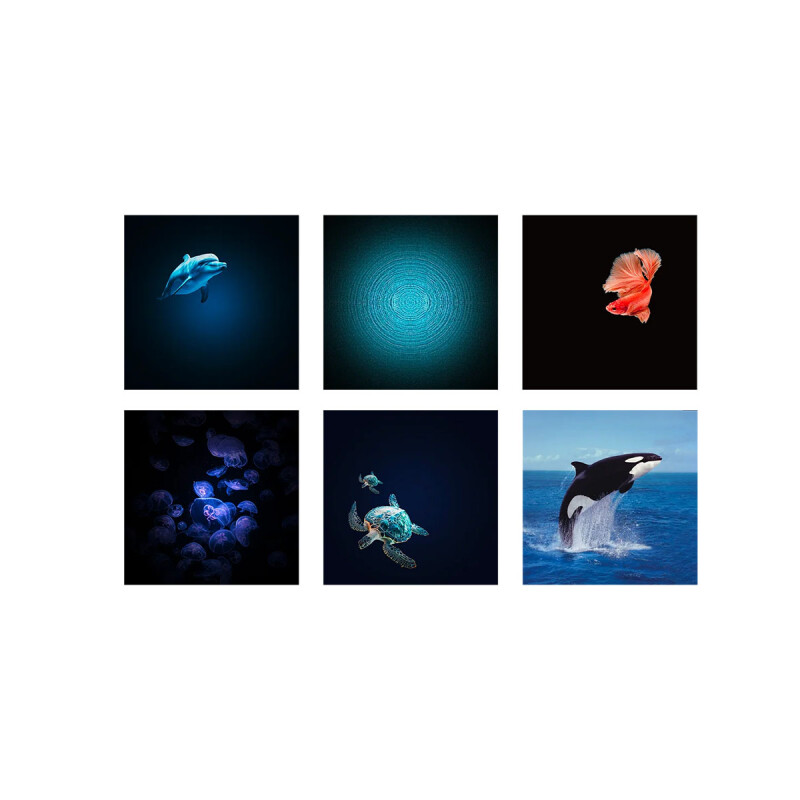 Proyector de imágenes océanos y mares Kidywolf Proyector de imágenes océanos y mares Kidywolf