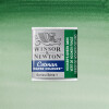 Acuarela Cotman - Winsor & Newton Tonos Verdes