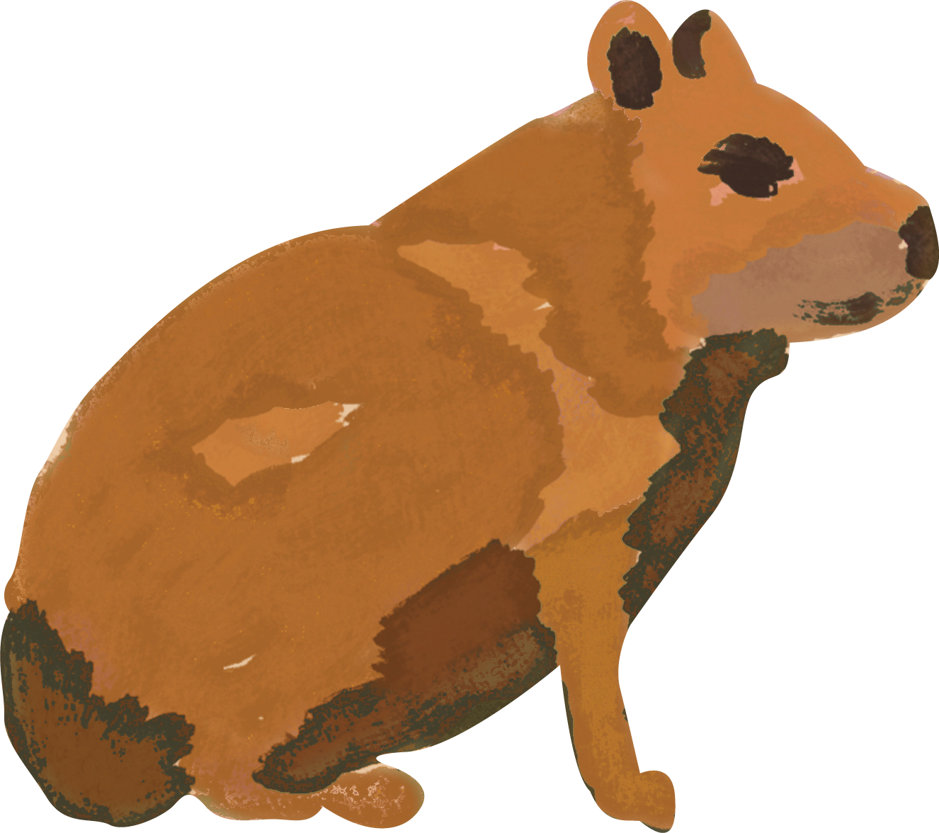 Capibara