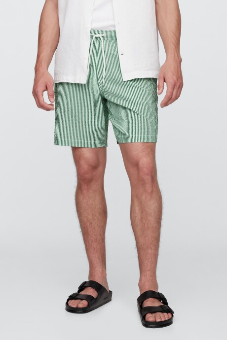 Traje De Baño Hombre Green Stripe
