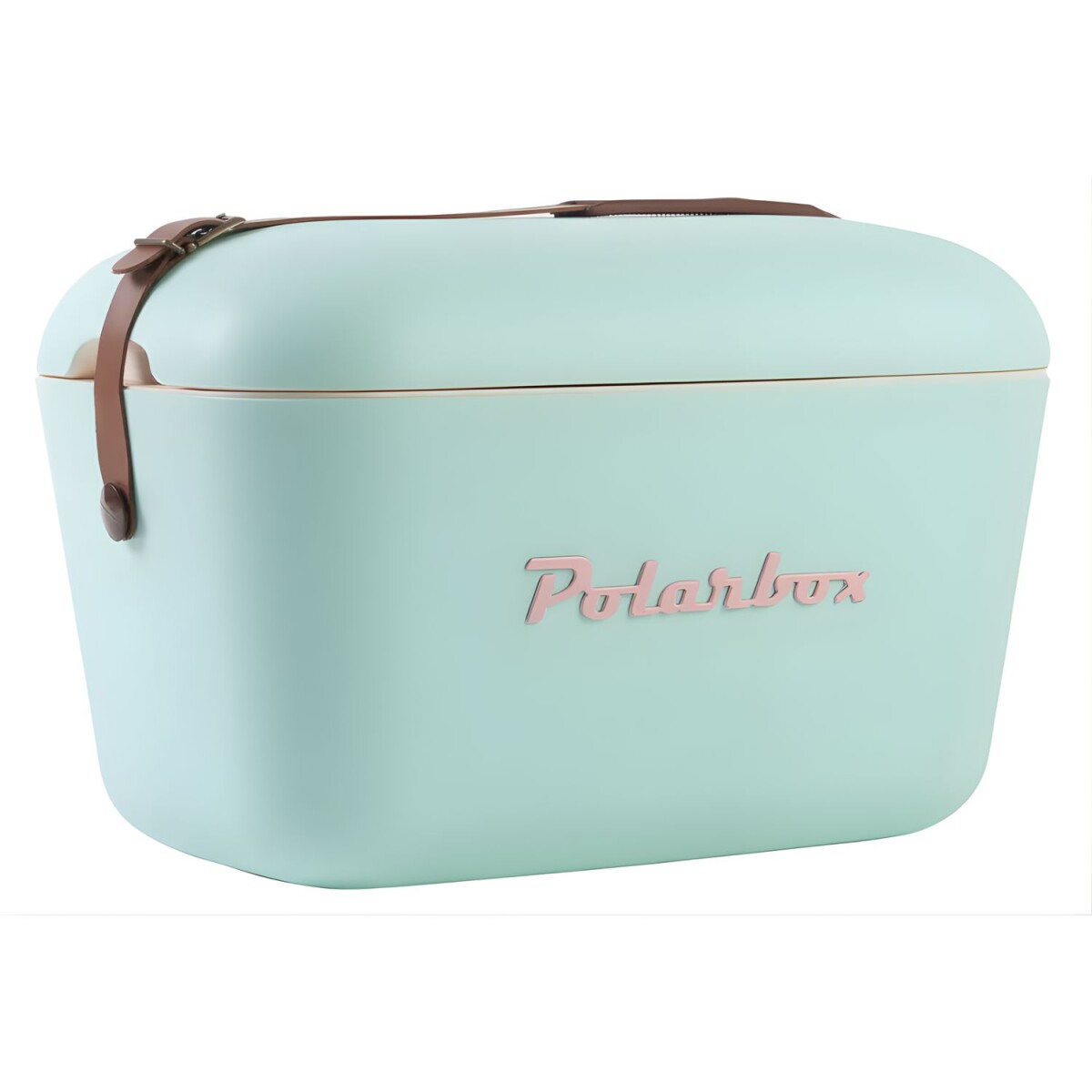 Conservadora Hielera Polarbox Vintage 12 Litros Con Asada POP - Verde Agua y Rosa 