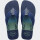 Ojotas Havaianas Urban Print Azul