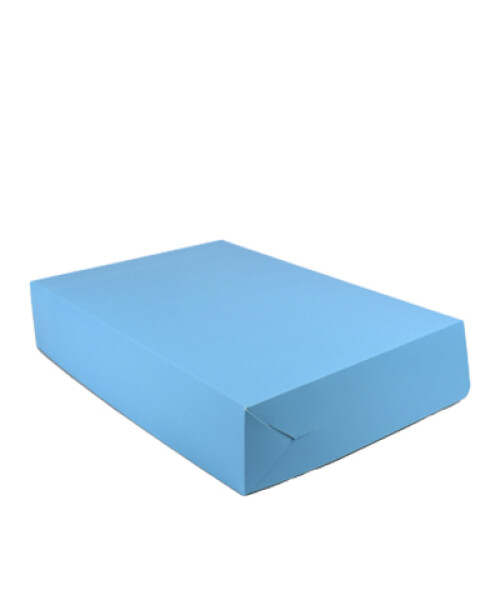 Caja masas 1kg - 22x30x6. CELESTE