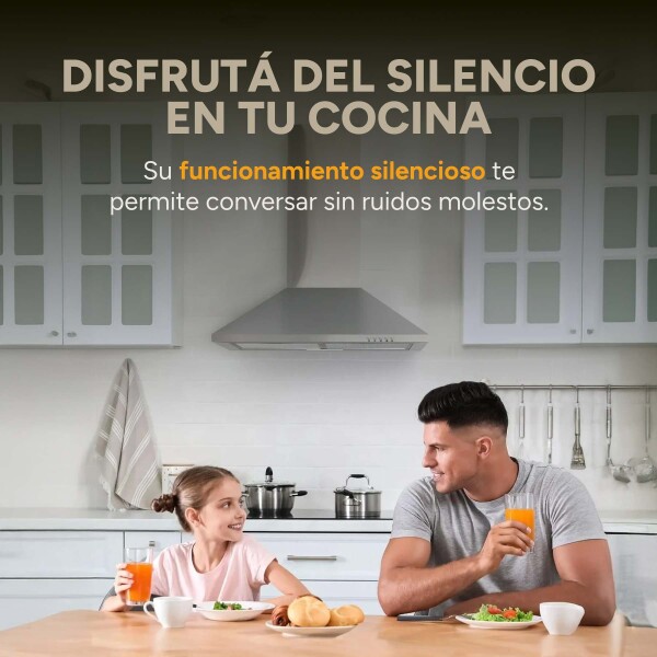 Campana De Cocina Extractor Goldtech 60cm Inoxidable Luz Variante Color Plateado