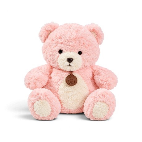 Osito Teddy con Collar Rosa
