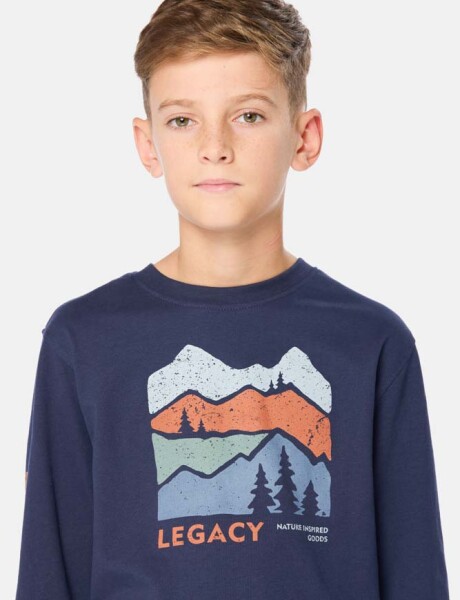 REMERA ESTAMPADA Azul