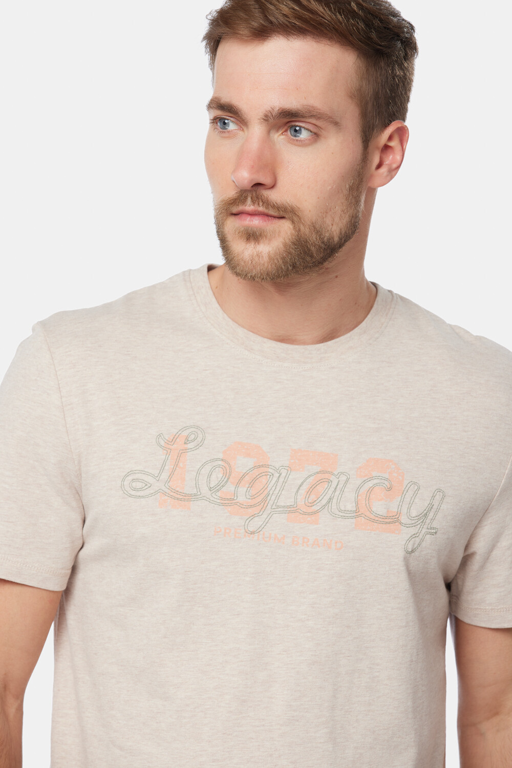 REMERA CON BORDADO Beige