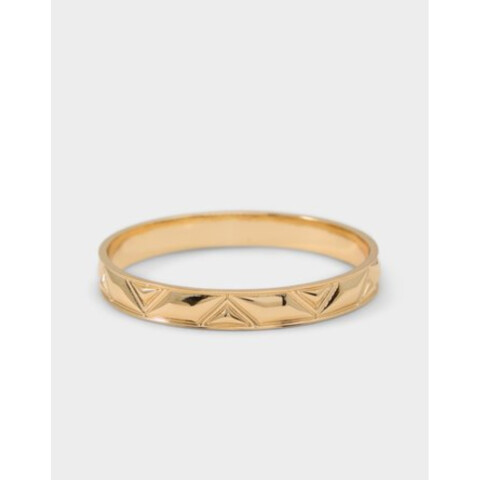 APEXA GOLD GOLD