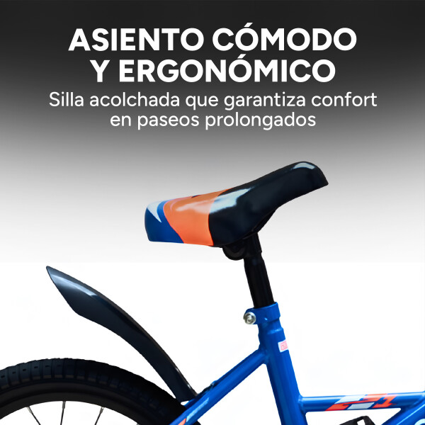 Bicicleta Infantil Doumoer R16 Canasto Parrilla Guardabarros Azul 1