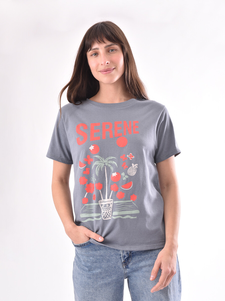 REMERA DENA - VARIANTE 13 