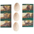 3x2 OUTLET Huevos Dinosaurio para excavación 12 pcs 3x2 Outlet Huevos Dinosaurio Para Excavación 12 Pcs