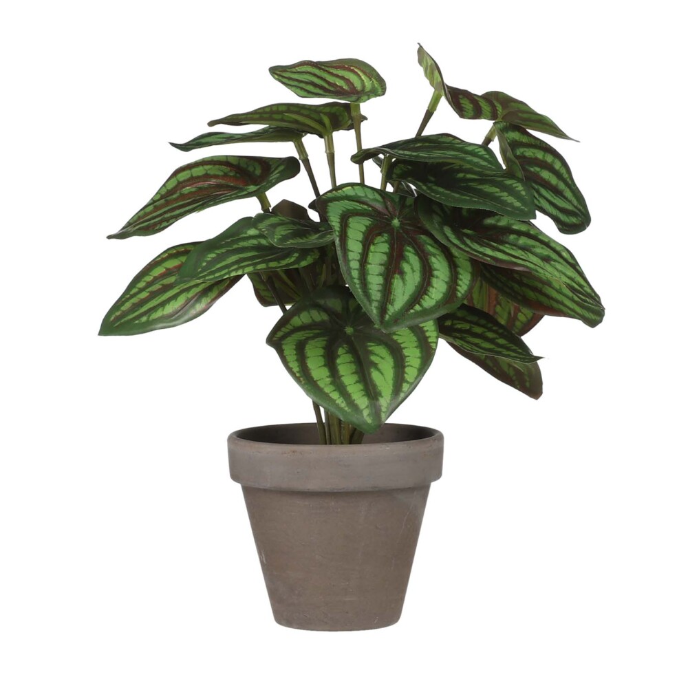 PLANTA ARTIFICIAL PLASTICO VERDE 1079795