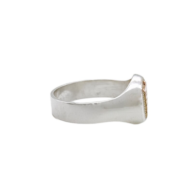 Anillo Profesión Medicina-Plata y Oro-Sin Piedra-AP5007 Sinpiedra