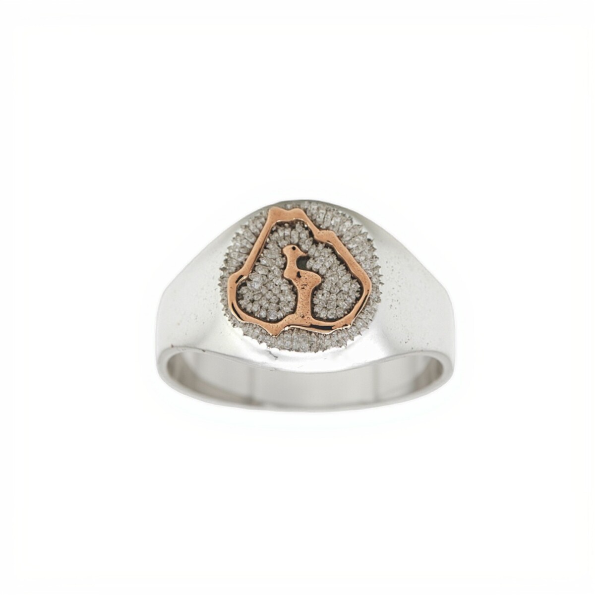 Anillo Profesión Ingeniero agrónomo-Plata y Oro-Sin Piedra-AP5009 - sinpiedra 