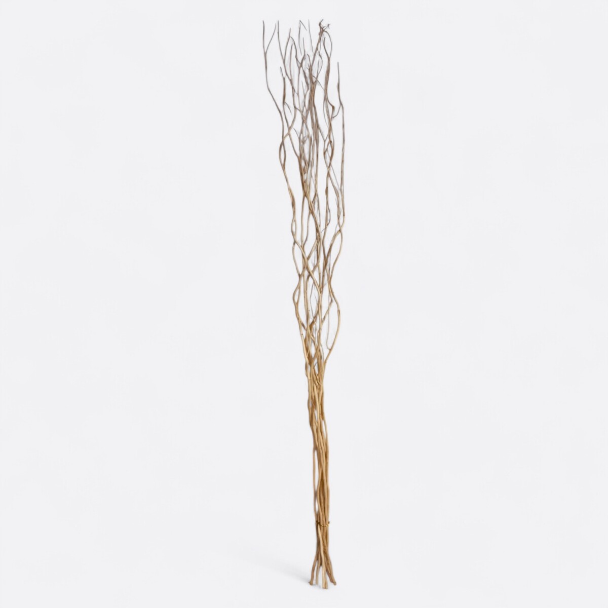 Ramas Secas Frondosas - Beige 