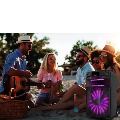 Party Speaker Philips Con Carry On Party Speaker Philips Con Carry On