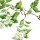 Difusor floral 28 ml jazmín