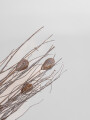 Deco Floral Ramo Boreal Color Unico