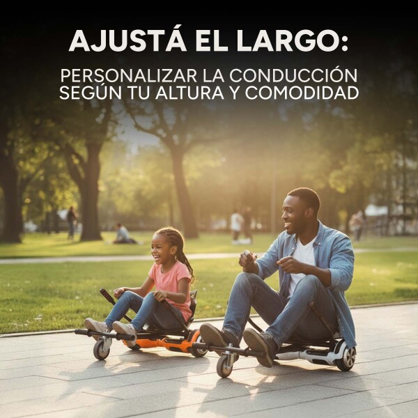 Asiento Para Hoverboard Hovercart Patineta Electrica GoGreen Variante Color Negro