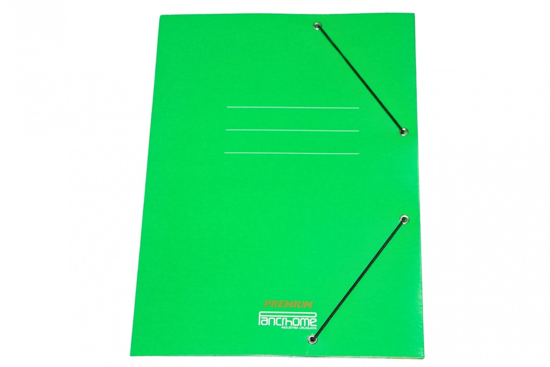CARPETA CON ELASTICO PREMIUM 309 COLOR VERDE 