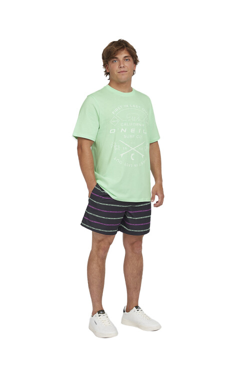 Remera O'Neill Muir - Menta Remera O'Neill Muir - Menta