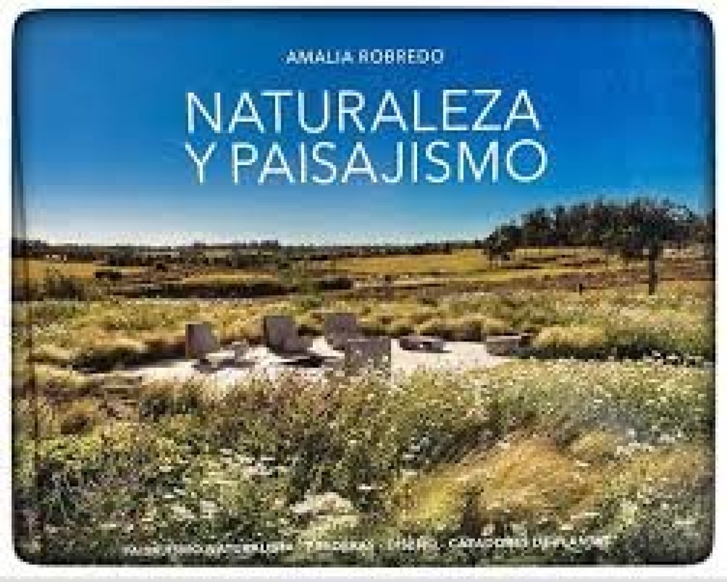 NATURALEZA Y PAISAJISMO 