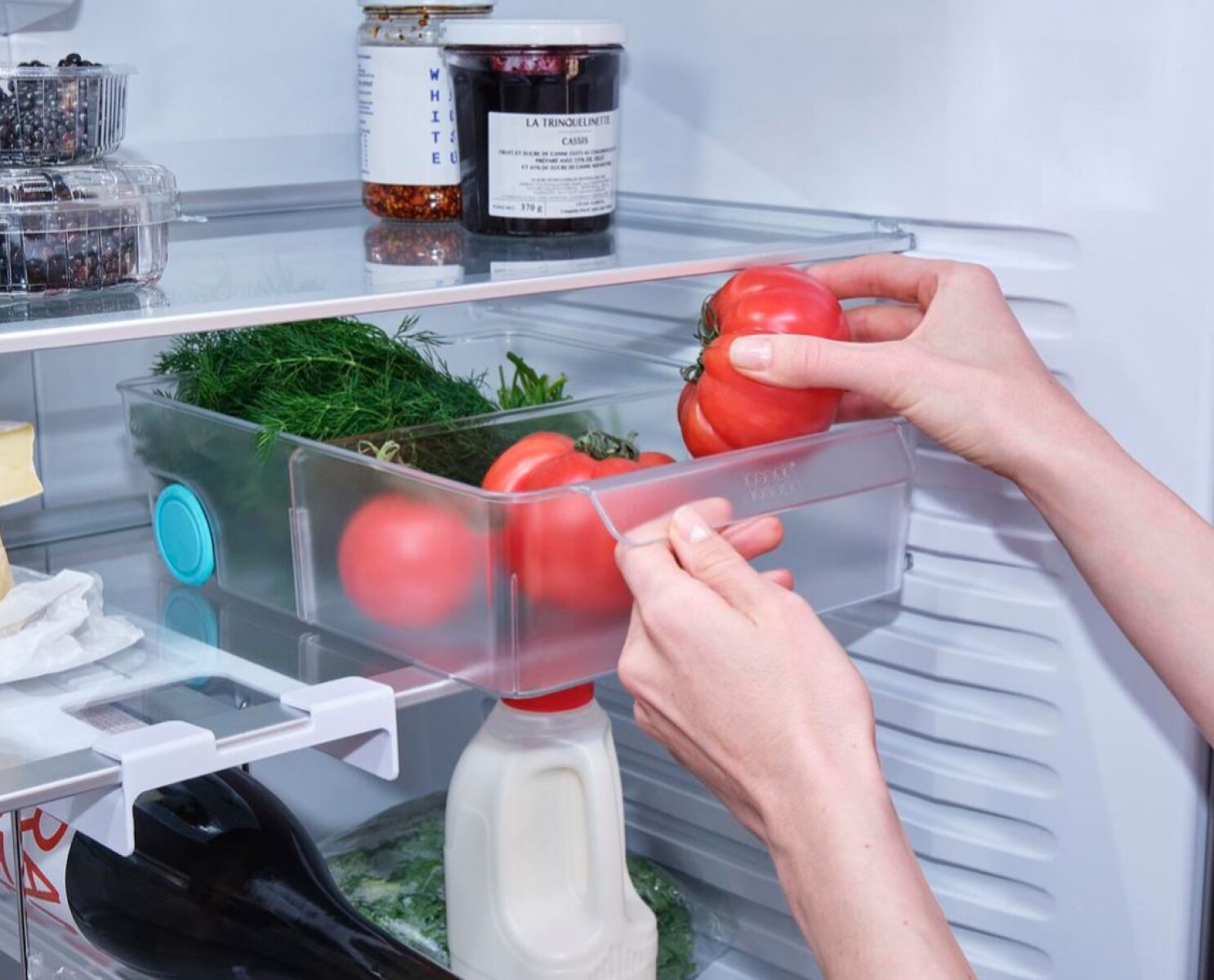 Organizador XL para Heladera Joseph Joseph FridgeStore™ 