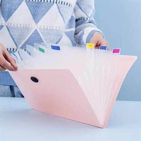 Carpeta con folios y elastico A4 Rosado