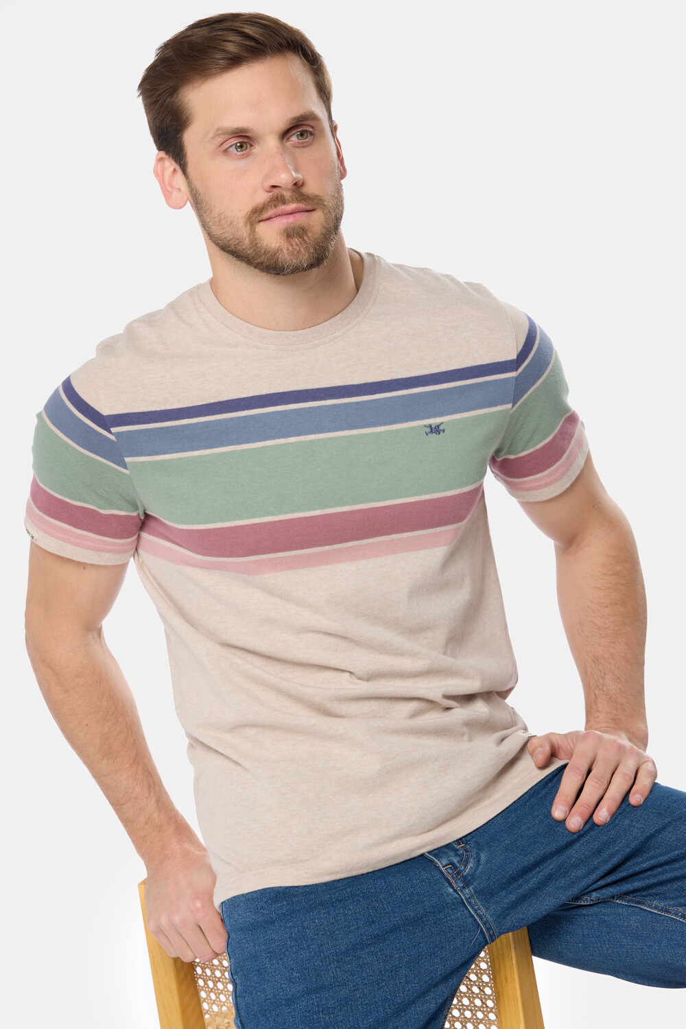 REMERA RAYADA Beige