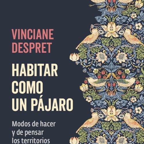 Habitar Como Un Pajaro Habitar Como Un Pajaro