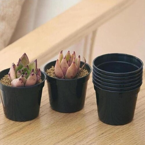 Maceta Plastica 7.8 x 8 cm Zz