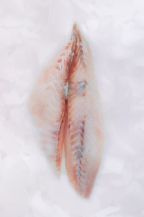 Filete de Palometa 500 g