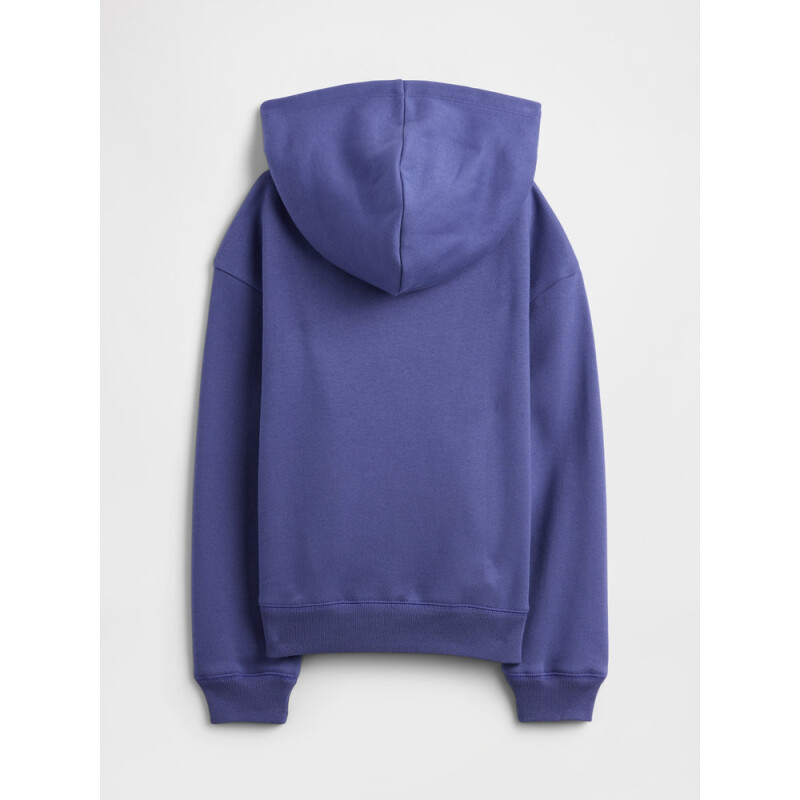 V-FA LOGO HERITAGE PO SKIPPER BLUE 19-3936