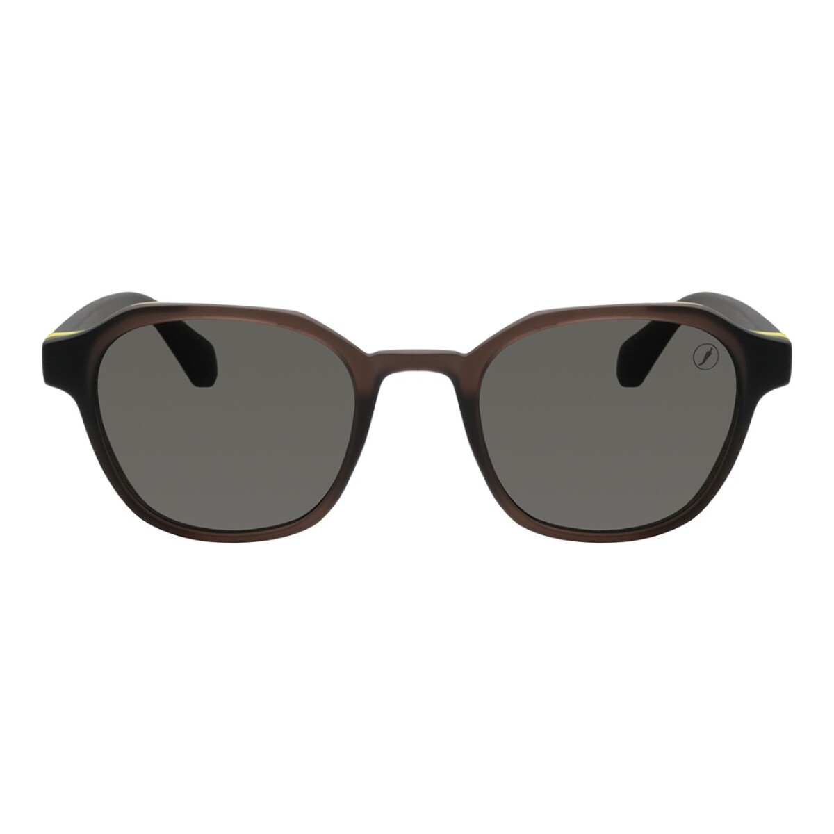 Lentes de Sol Chilli Beans Nebraska - Marrón Matte 