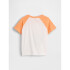 V-FRCH SS LOGO GRPH RAGLAN T ICY ORANGE V2