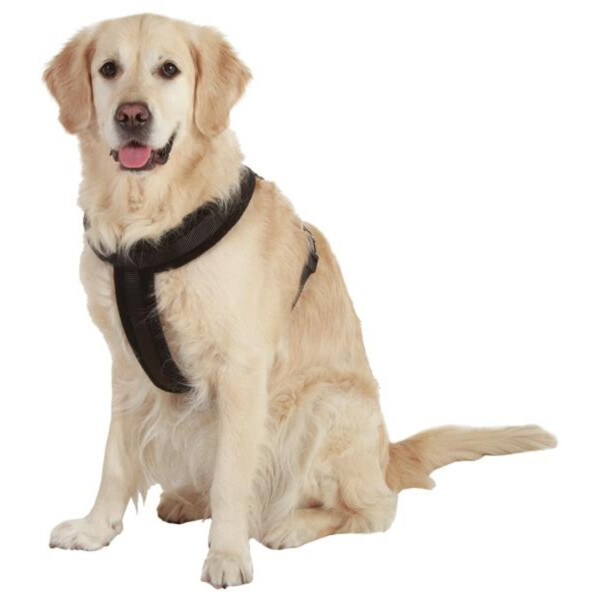 PERRO ARNES CROSS PALOS NEGRO M 55CM 58-70CM 25MM PERRO ARNES CROSS PALOS NEGRO M 55CM 58-70CM 25MM