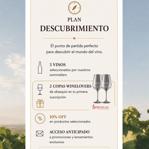 Plan Descubrimiento Plan Descubrimiento