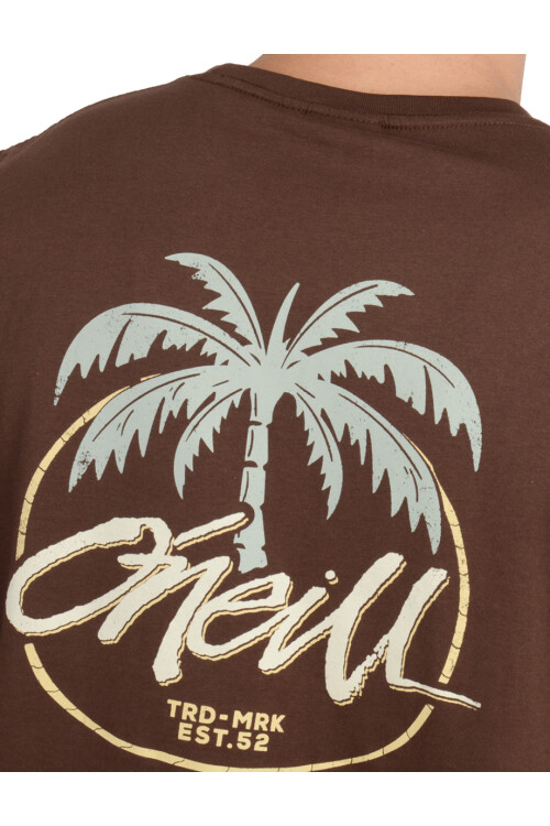 Remera O'Neill Home Grown Café
