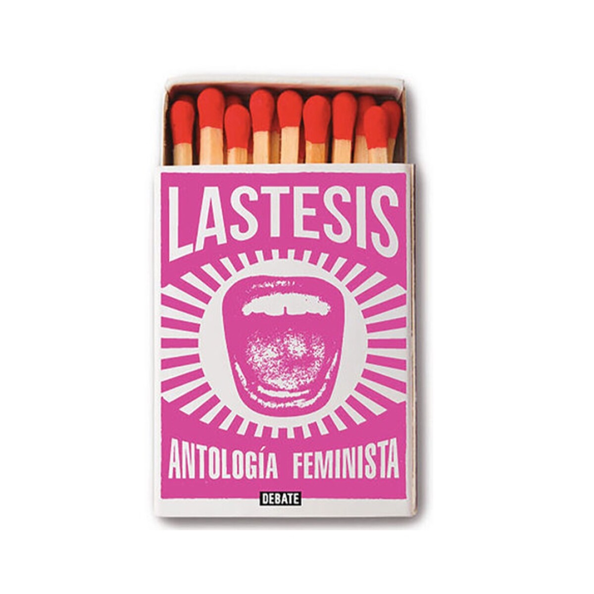 Libro Antologia de Textos Feministas (Lastesis) - 001 