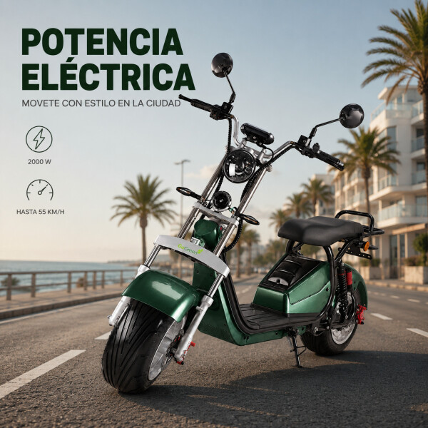 Moto Eléctrica GoGreen Adventure 2000W 20Ah R12 55km/h Verde
