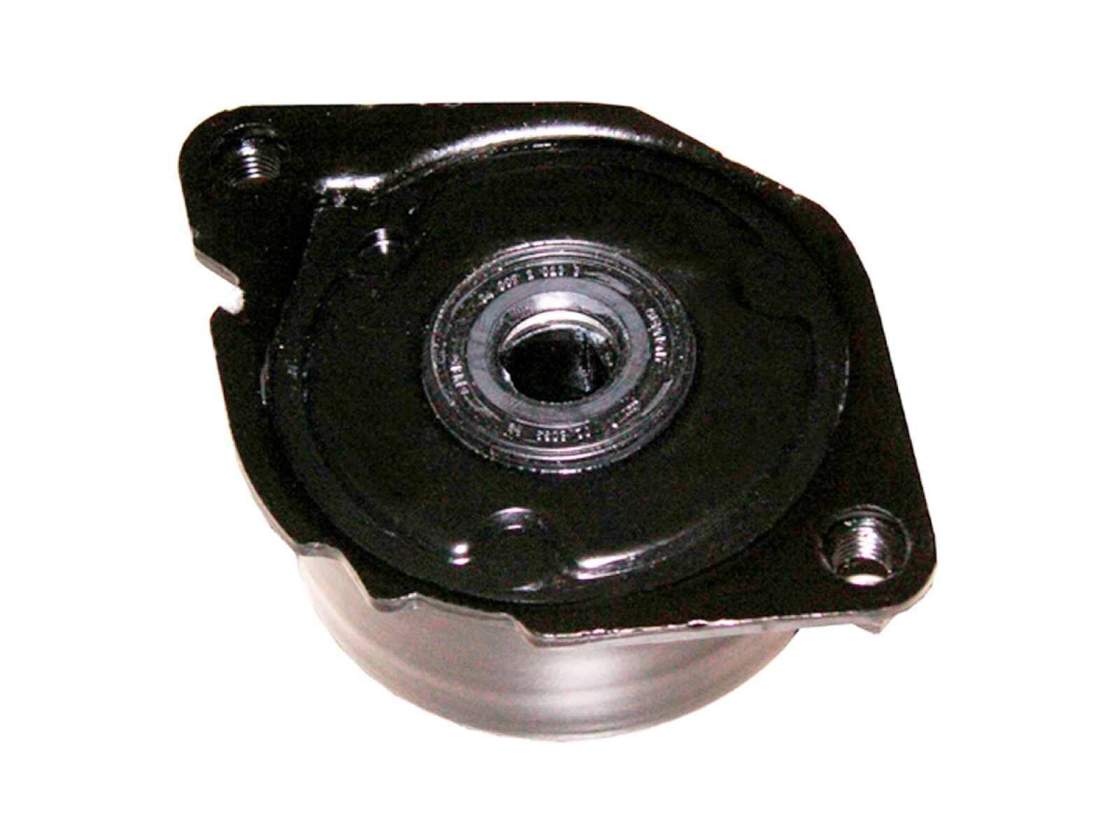 Amortiguador Del Tensor Guia Correa BMW 320D (E46) 04-05 
