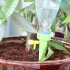 Riego Automatico Goteo Tapa Botella Macetas Plantas X50 Color Variante Verde